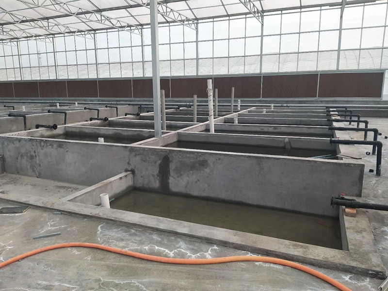 觀(guān)賞魚(yú)溫室